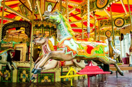 Roundabout fun horse