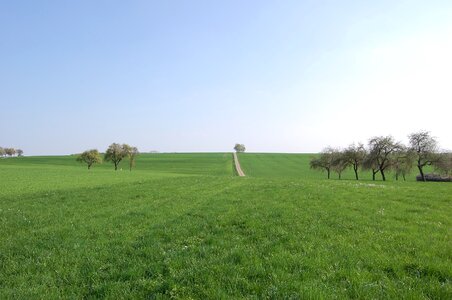 Landscape green rest
