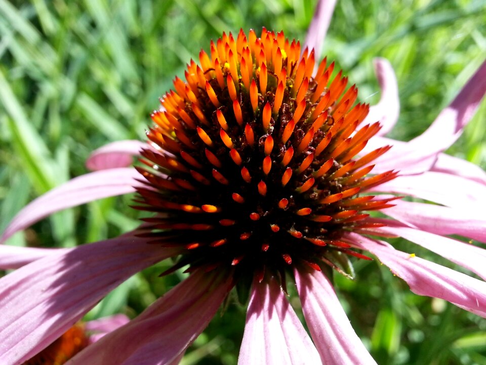 Filed nature season