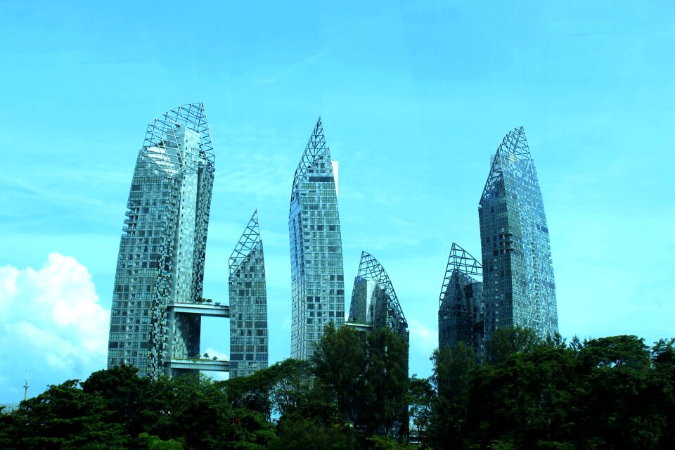 Steel architecture trees