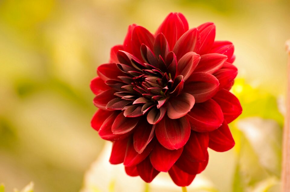 Autumn gardening garden