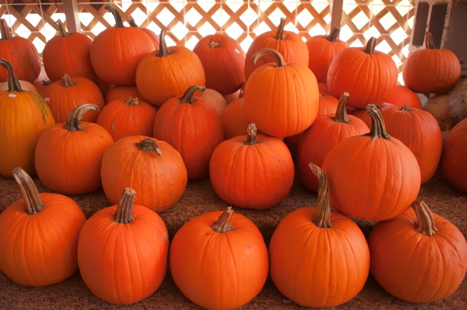 Carve decoration fall