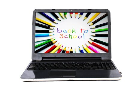Business learning teachers