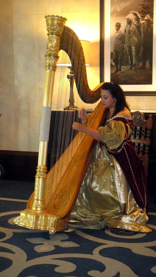 Musical instrument string gown
