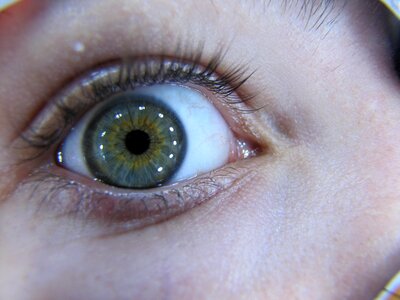 Macro iris pupil