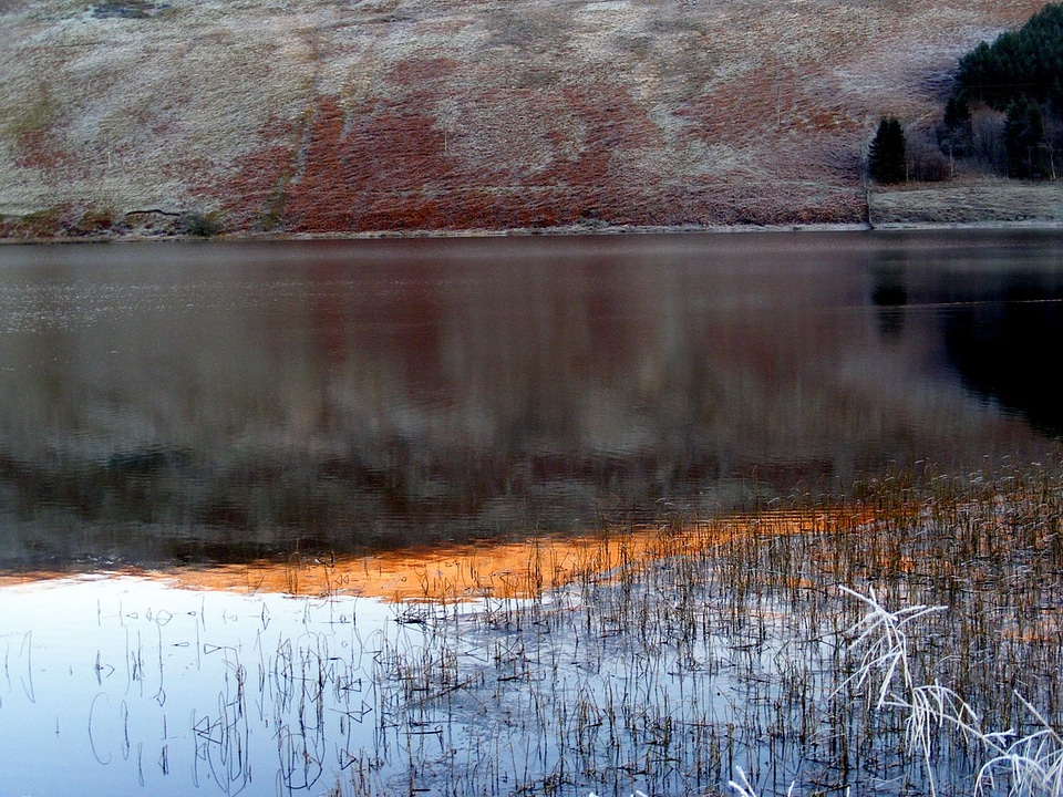 Hills reeds reflections