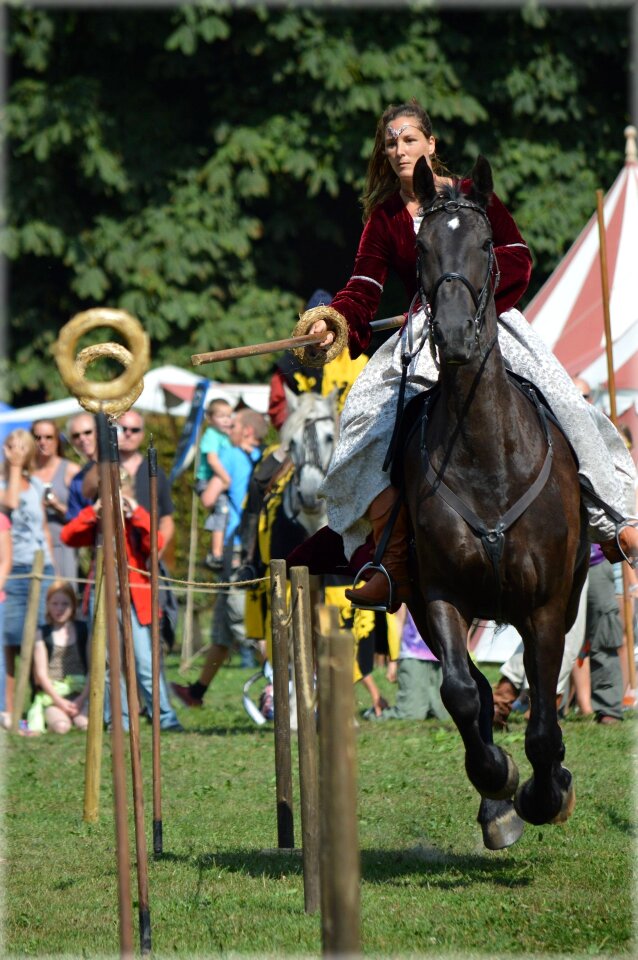 Amsterdam holland knight show