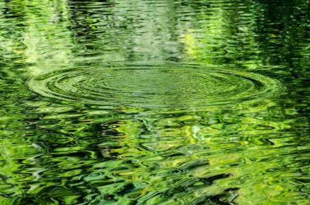 Green close-up element