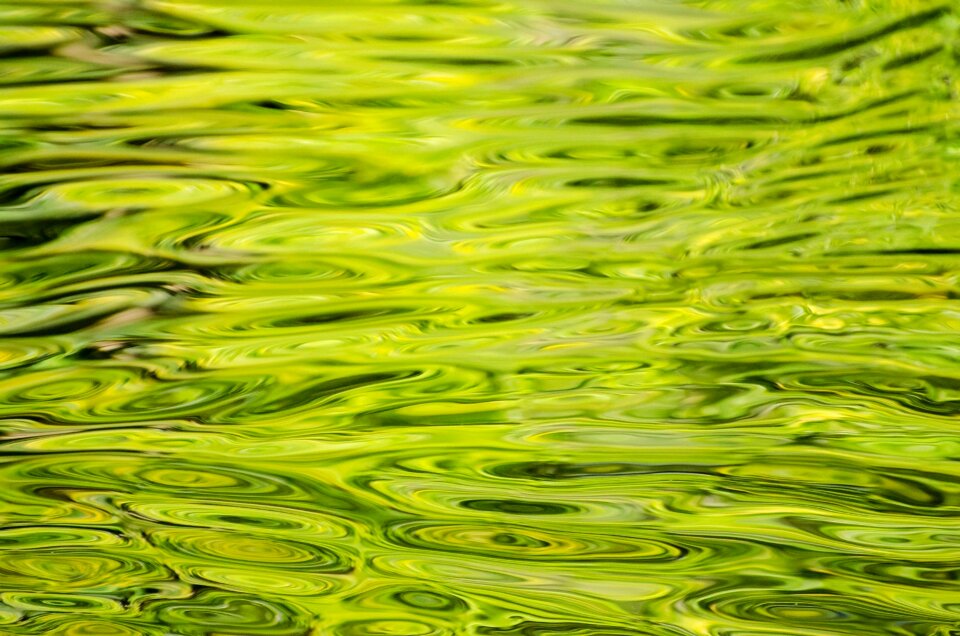 Green close-up element