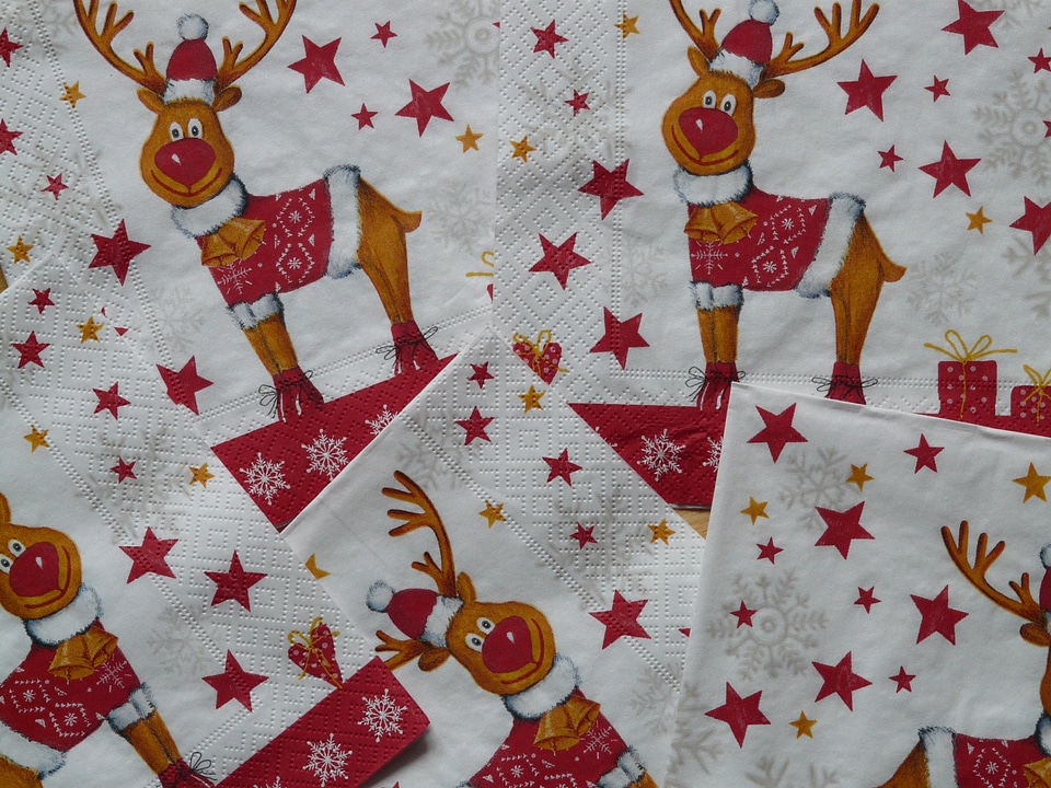 Reindeer red currant red nosed