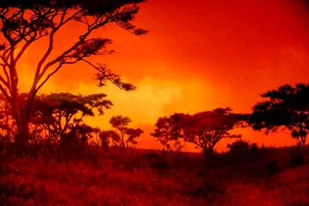 Red setting sun fiery photo