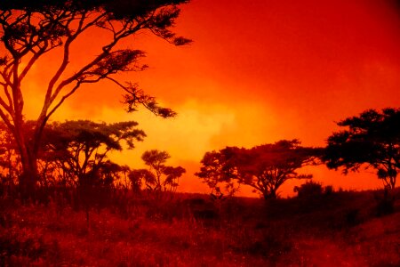 Red setting sun fiery