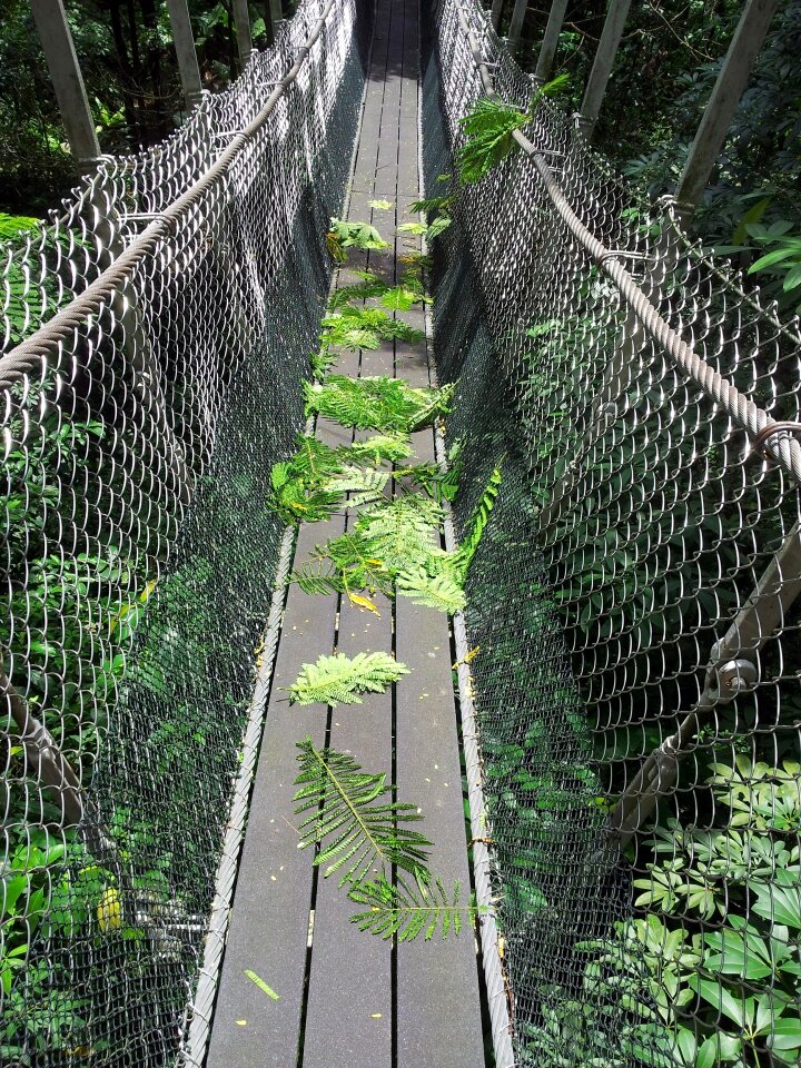 Rope bridge way trail