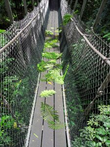 Rope bridge way trail photo