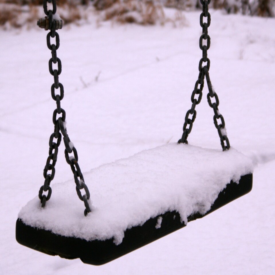 Snowy swing winter