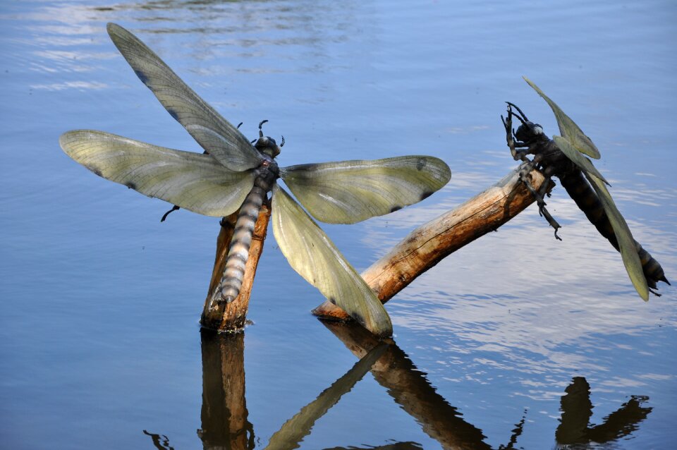 Lake artificial insects dinosaurs