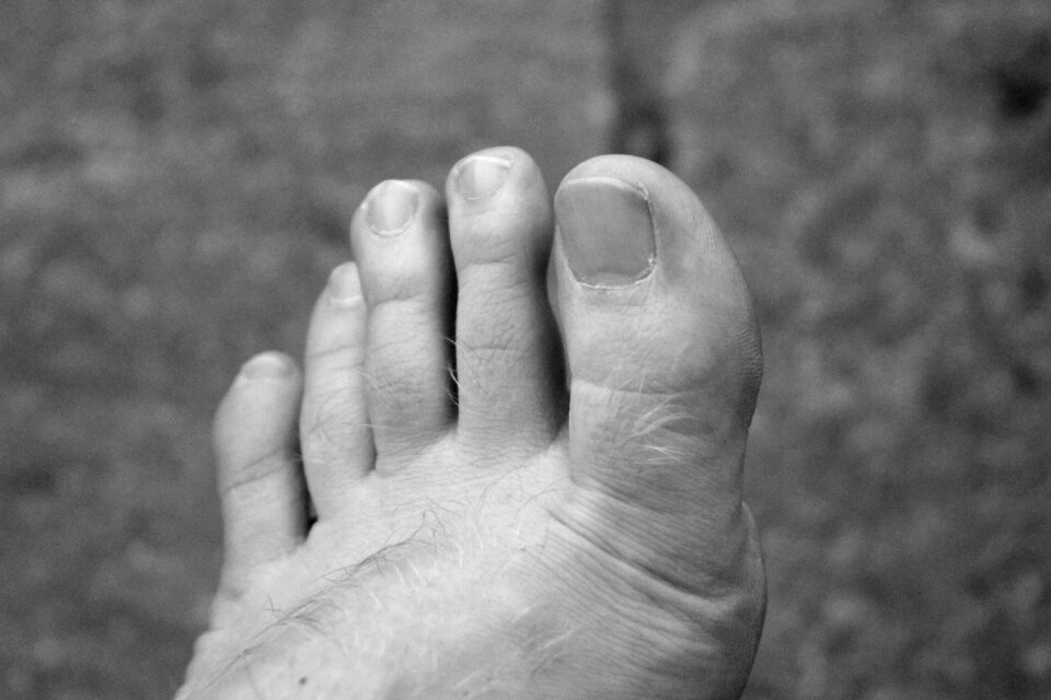 Ten black and white close up