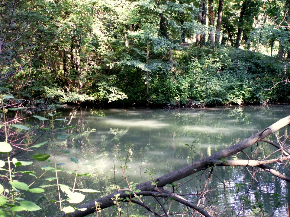 Park pond water