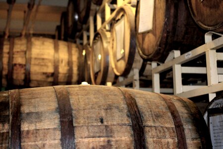 Aging barrels casks whisky cask photo