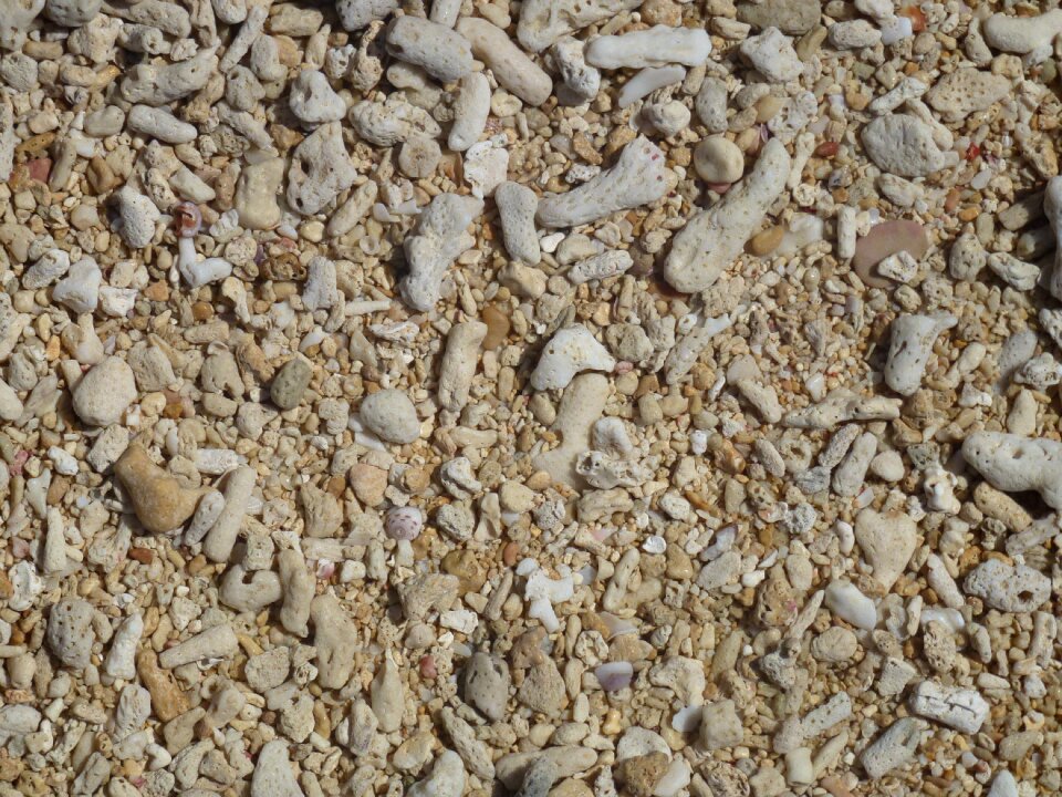 Beach sea stones