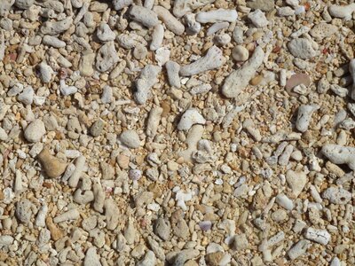 Beach sea stones photo