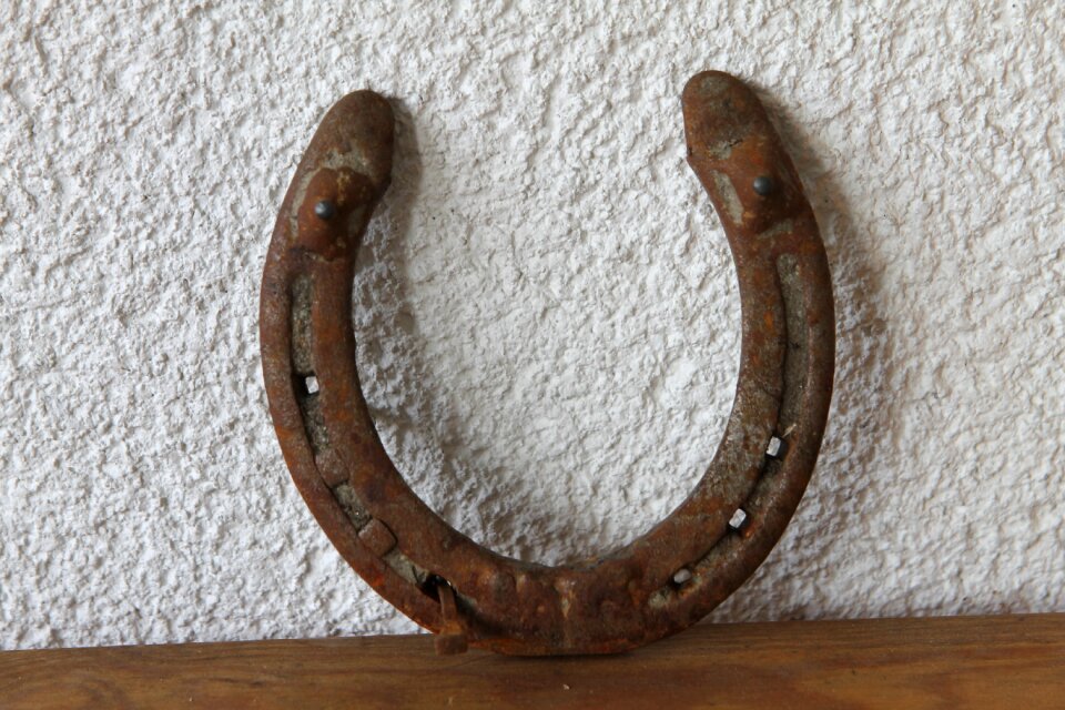 Horseshoe rusty lucky charm