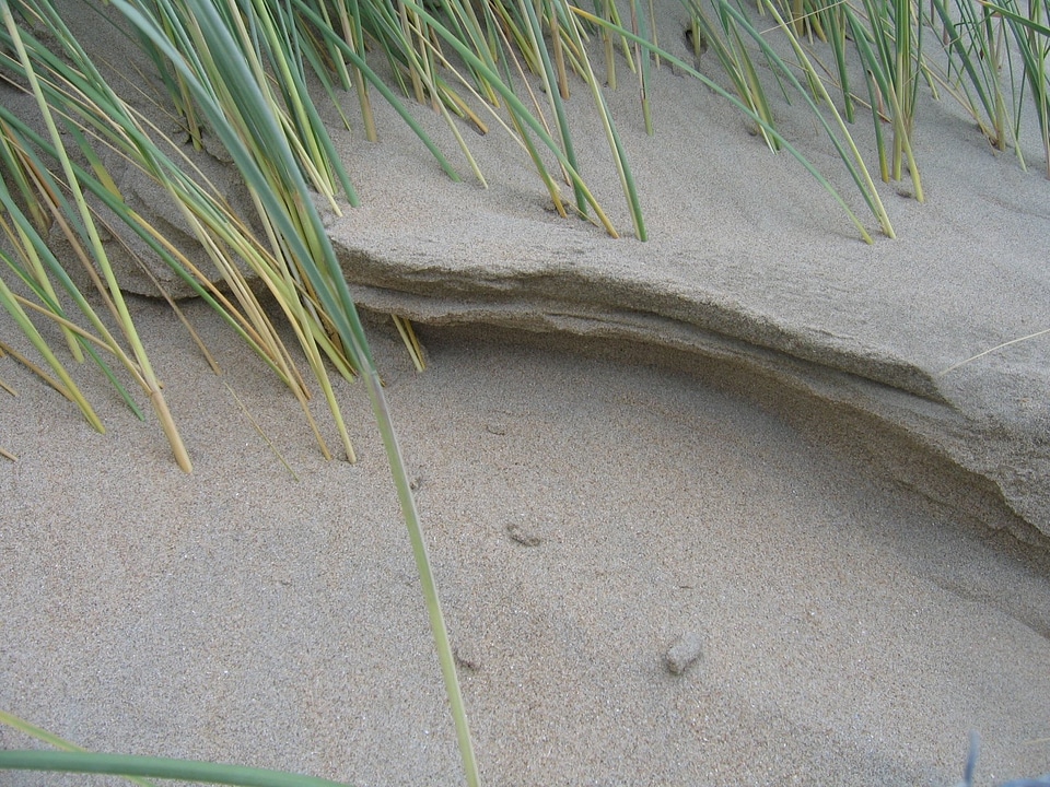 Sand sand beach excerpt of the beach