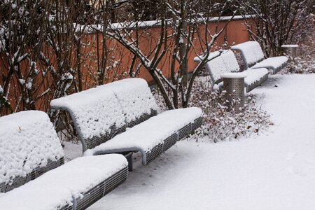 Park benches waste bins park photo