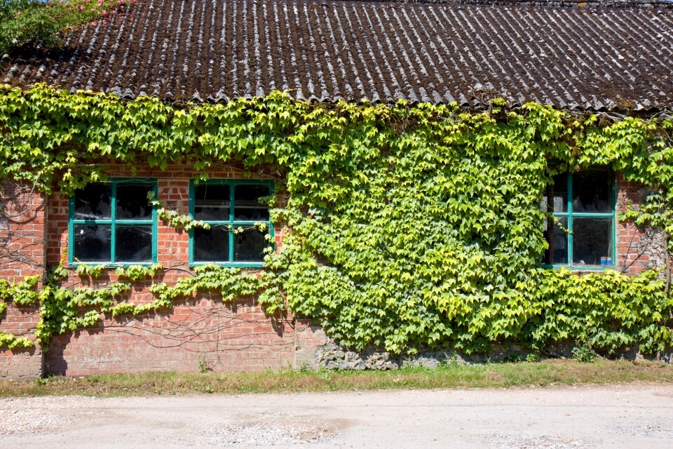 Old brick building