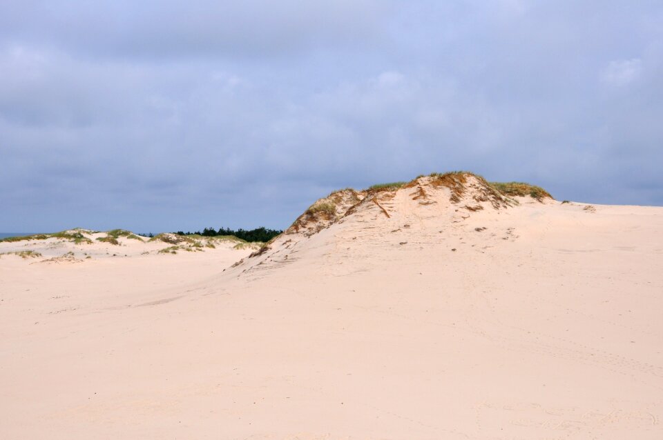 Sand the coast nature