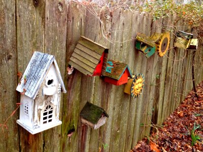 Rustic backyard farm photo