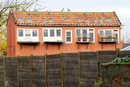 Pigeon dovecote building
