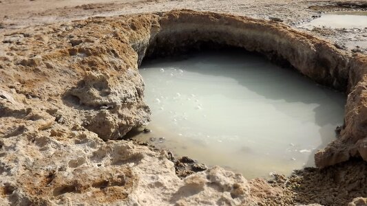 Warm sulphur white