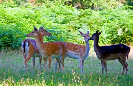 Group close-up beautiful photo