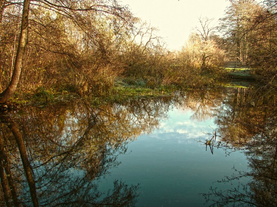 River lake mirroring