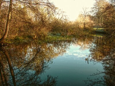 River lake mirroring