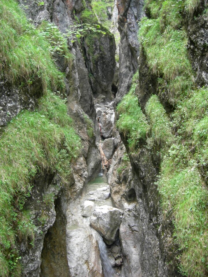 Alpine gorge clammy