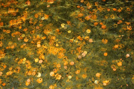 Metal fountain rusted