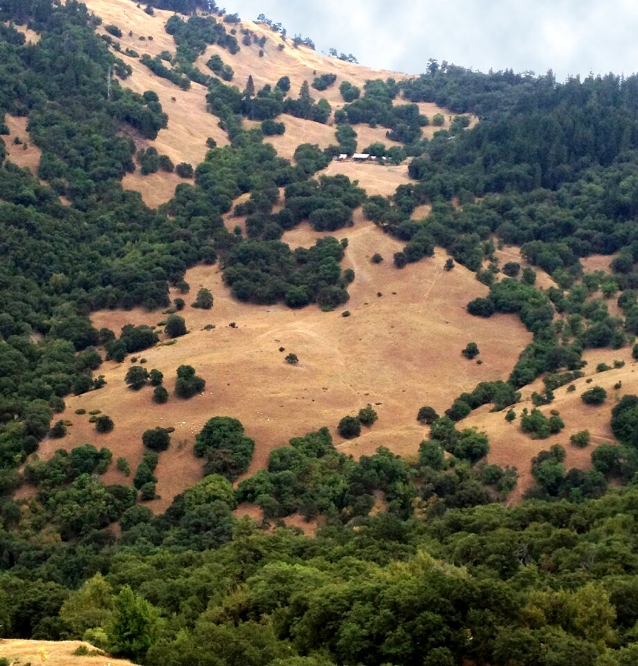 Scenic northern california nature