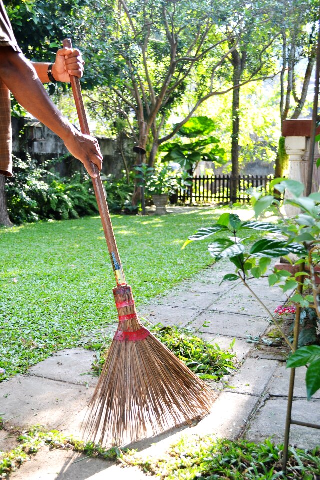 Gardening sri lanka mawanella