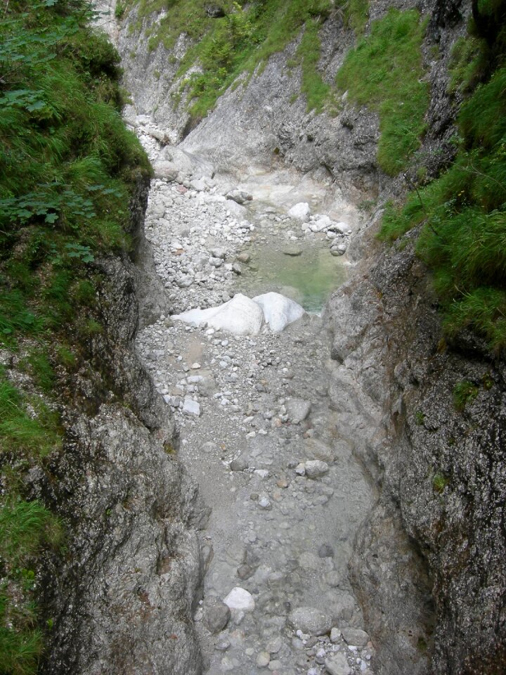 Alpine gorge clammy