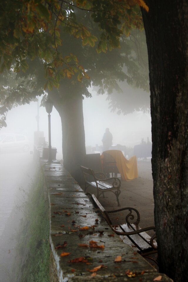 Fog tribulation glimmer of hope