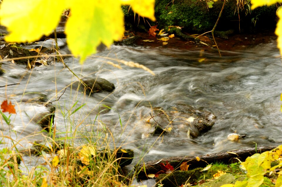 Landscape water waters