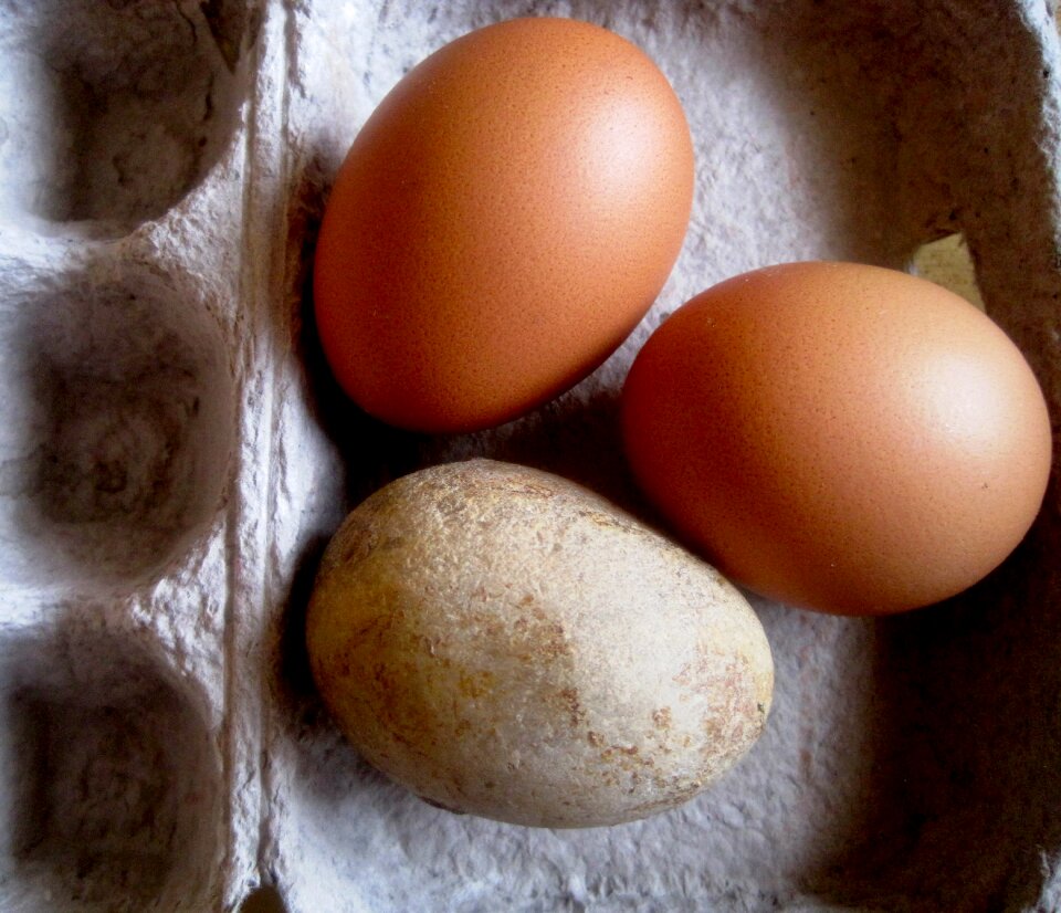 Pebble egg shaped egg box