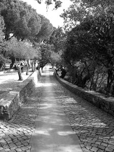Path stonework garden walk