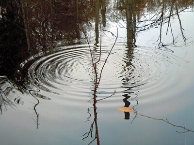 Drip water surface tension