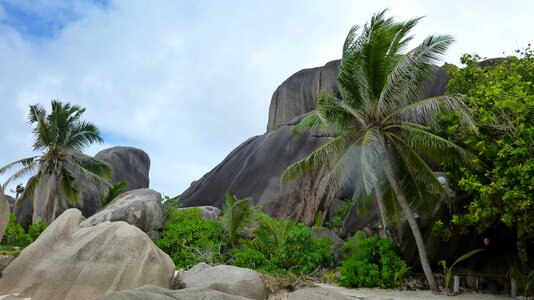 Beautiful beach beach island photo