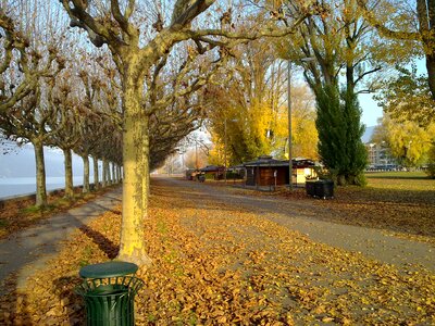 Savoie nature path