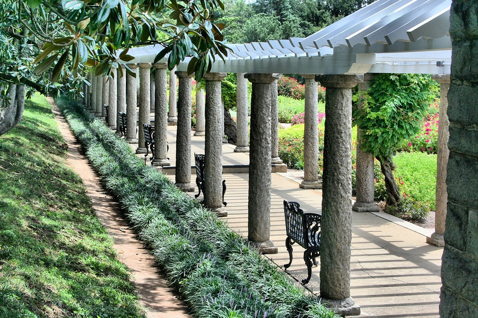 Wisteria arbor shade grass