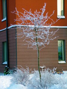 Frost house building